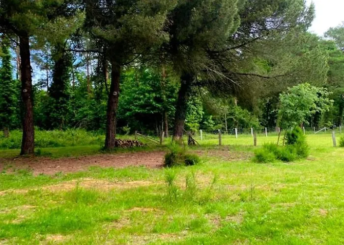 Le D Henri * La Flèche